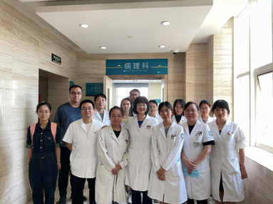 【2024年天津市抗癌协会科技奖】二等奖——基于分子病理学的消化系统神经内分泌肿瘤精准诊疗的基础与临床研究